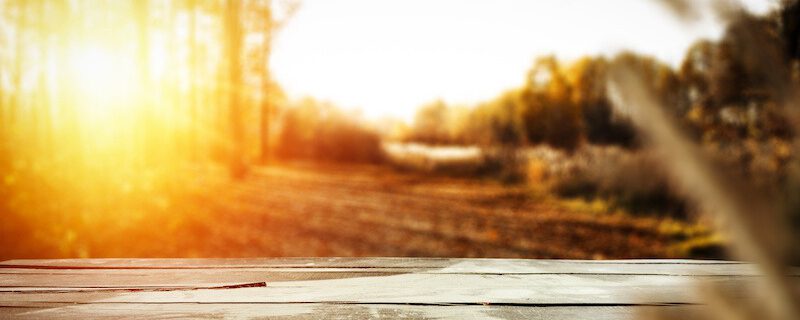 Herbst-ayurvda-tipps