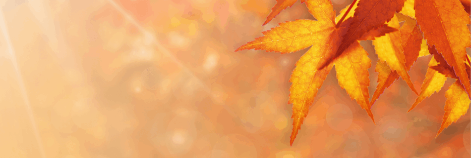 entspannt in den Herbst