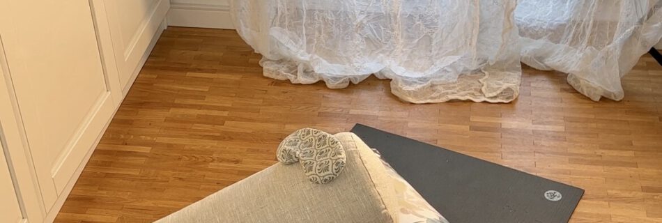 yin_yogalehrerin_werden