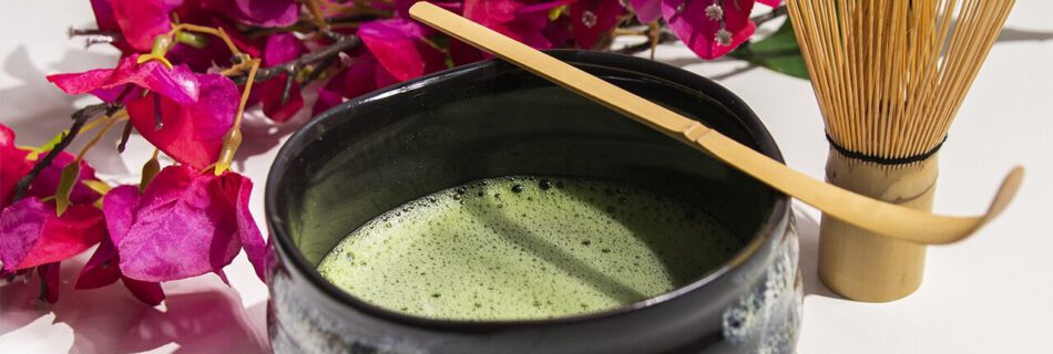 matcha_tee_empfehlung