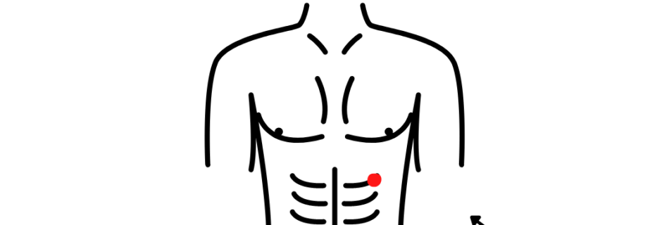 Lebermeridian_akupressur