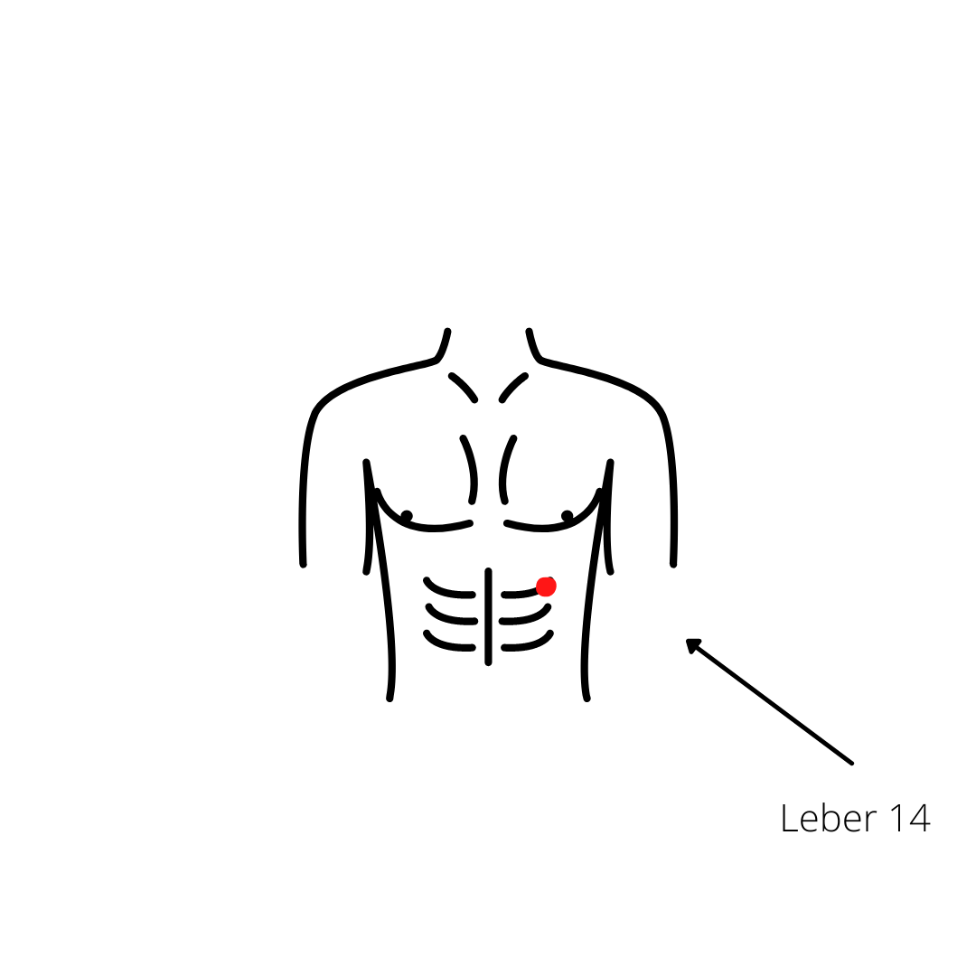 Lebermeridian_akupressur